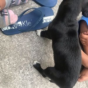 Meet your Posher, Eliza